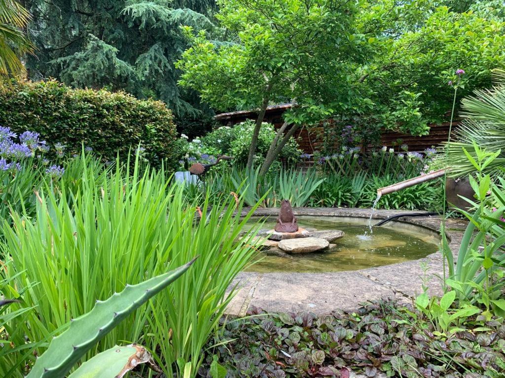 Maison En Pierre Dans Son Nid De Verdure Roz-Landrieux Ngoại thất bức ảnh