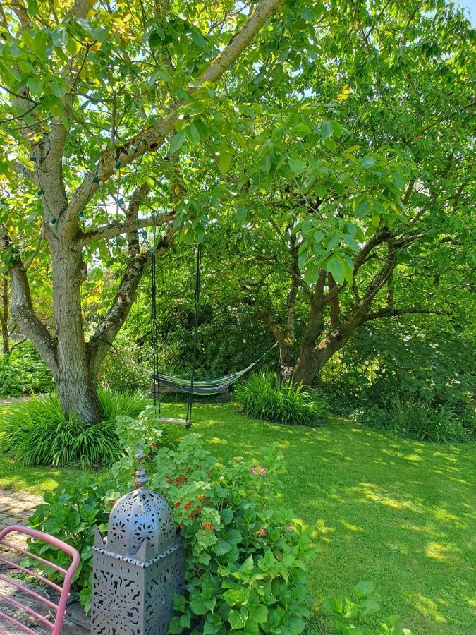 Maison En Pierre Dans Son Nid De Verdure Roz-Landrieux Ngoại thất bức ảnh