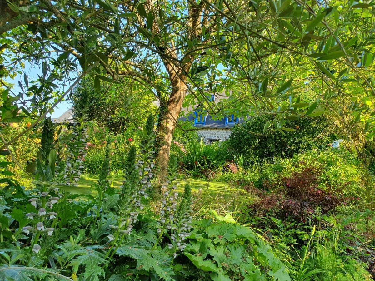 Maison En Pierre Dans Son Nid De Verdure Roz-Landrieux Ngoại thất bức ảnh
