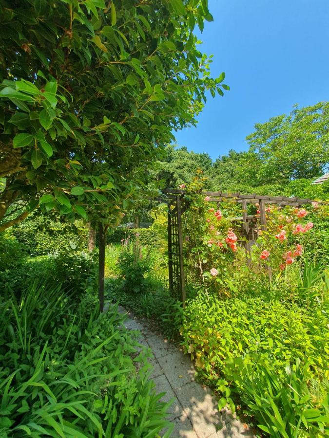 Maison En Pierre Dans Son Nid De Verdure Roz-Landrieux Ngoại thất bức ảnh