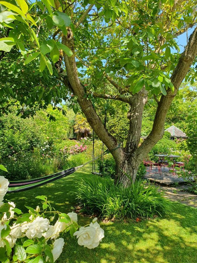 Maison En Pierre Dans Son Nid De Verdure Roz-Landrieux Ngoại thất bức ảnh